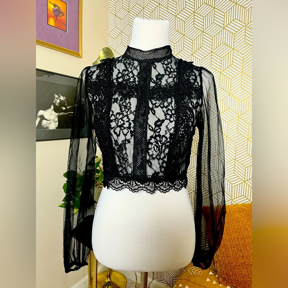 Sheet Lace Midriff Top